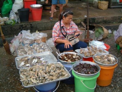 mercado (32)  ALIMENTOS MERCADO